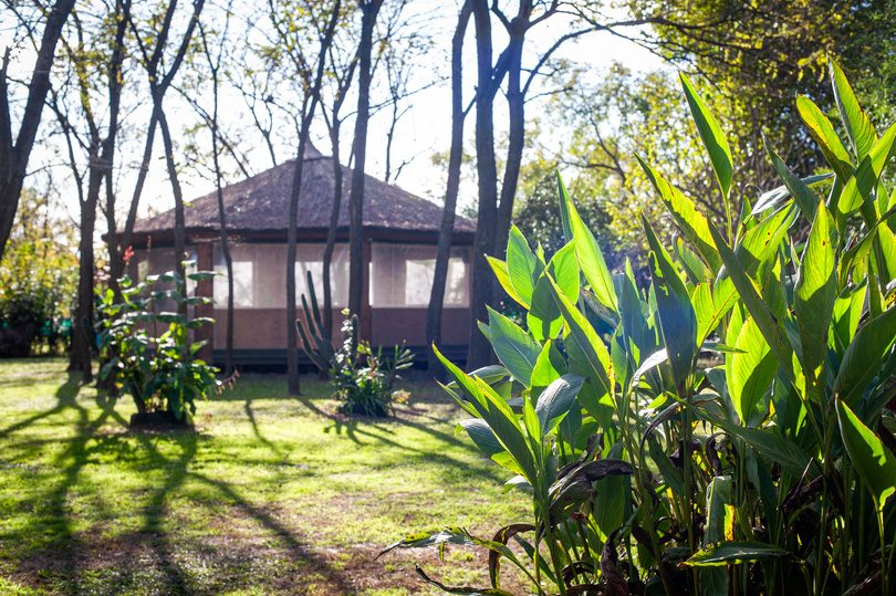 Casa entre la vegetación
